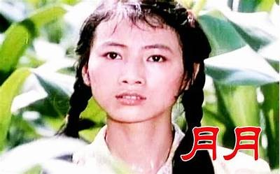 小月月影院成人免费在线观看