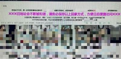 欧美成人视频免费在线观看