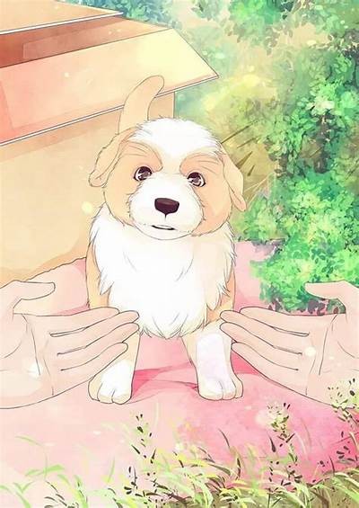 变成人的狗和猫漫画免费在线观看